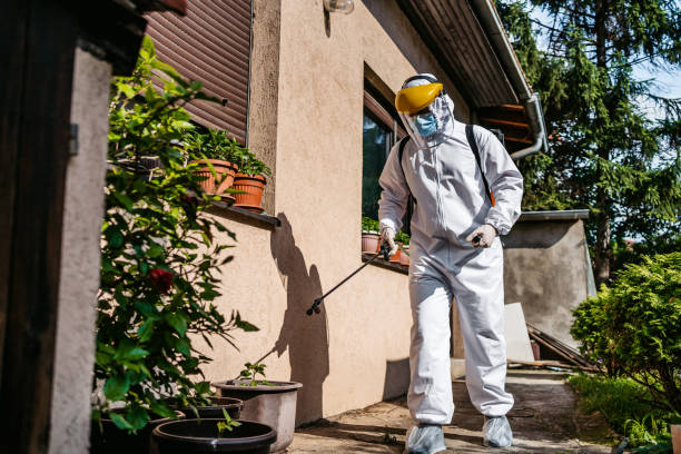 Best Bed Bug Extermination  in Hallandale Beach, FL